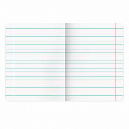 Тетради предметные, КОМПЛЕКТ 13 ПРЕДМЕТОВ, 48 л., матовая ламинация, BRAUBERG "MONOCOLOR", 405175