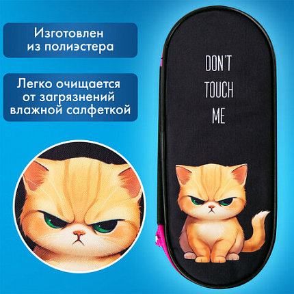 Пенал-футляр BRAUBERG, 1 отделение, органайзер, полиэстер, 22x9х5 см, "Сердитый котенок", 273566