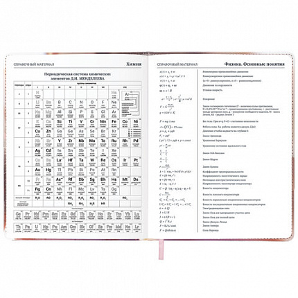 Дневник 1-11 класс 48 л., кожзам (твердая), застежка, BRAUBERG, "Котик с рыбкой", 107229
