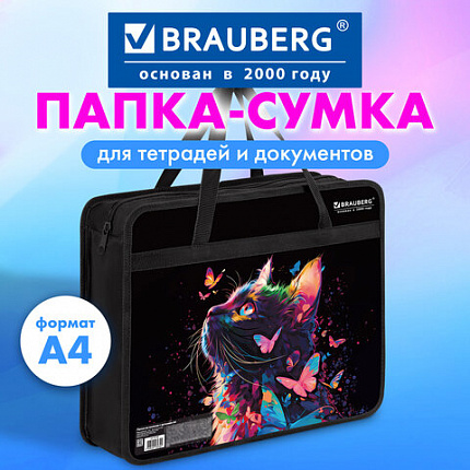 Папка на молнии с ручками BRAUBERG А4, 1 отделение, пластик, 80 мм, "Ловец бабочек", 272165