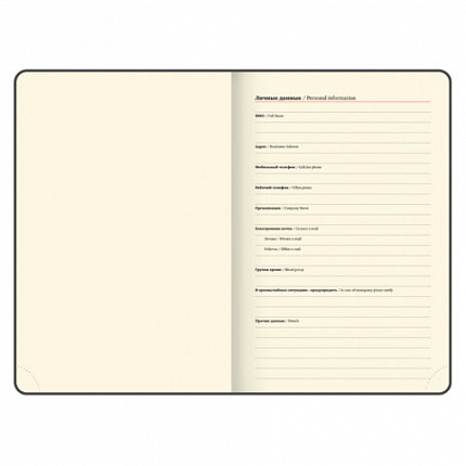 Ежедневник датированный 2026, А5, 145х213 мм, BRAUBERG "Jacket", под кожу, клапан, держатель, зеленый, 117402