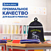 Мешок для обуви BRAUBERG, с петлей, светоотражающая полоса, 2 отделения, 46х36 см, "Тираннозавр", 272399
