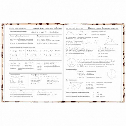 Дневник 5-11 класс 48 л., твердый, BRAUBERG, выборочный лак, с подсказом, "Магия", 106885