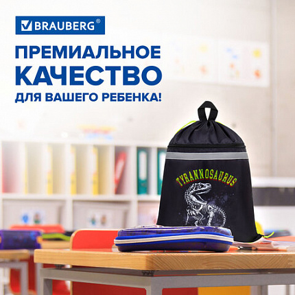 Мешок для обуви BRAUBERG, с петлей, светоотражающая полоса, 2 отделения, 46х36 см, "Тираннозавр", 272399