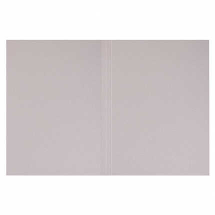 Папка без скоросшивателя "Дело", картон мелованный, плотность 280 г/м2, до 200 листов, BRAUBERG, 110927