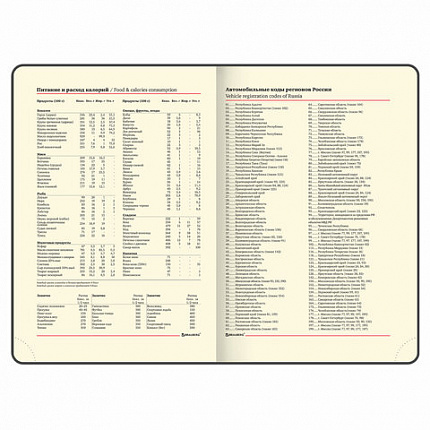 Ежедневник недатированный А5 (138х213 мм), BRAUBERG VISTA, под кожу, гибкий, 136 л., "Edvard Munch", 111984