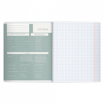 Тетради предметные, КОМПЛЕКТ 12 ПРЕДМЕТОВ 48л, пластиковая обложка, BRAUBERG "MonoPastel", 405540