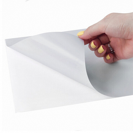 Этикетка самоклеящаяся 210х297 мм, 1 этикетка, полиэстер, серебро, 25 листов, TANEX, сырье Финляндия, 114544, TW-2000