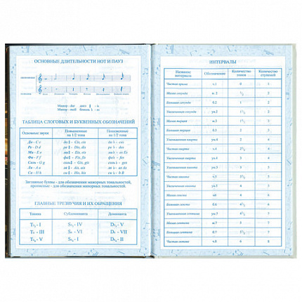 Дневник для музыкальной школы 140х210 мм, 48 л., твердый, BRAUBERG, выборочный лак, справочный материал, "Симфония", 103601