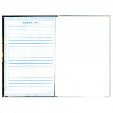 Дневник для музыкальной школы 140х210 мм, 48 л., твердый, BRAUBERG, выборочный лак, справочный материал, "Симфония", 103601