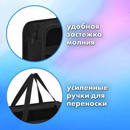 Папка на молнии с ручками BRAUBERG А4, 1 отделение, пластик, 80 мм, "Butterfly catcher", 272165