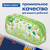 Пенал-косметичка BRAUBERG LUCENT на молнии, прозрачный, "Avocado", 21х5х9 см, 270054