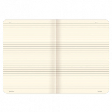 Тетради 60 л. в линию обложка SoftTouch, НАБОР 2 шт., бежевая бумага 70 г/м2, сшивка, B5 (179х250 мм), ВПЕЧАТЛЕНИЕ, BRAUBERG, 403825