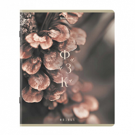 Тетради предметные, КОМПЛЕКТ 12 ПРЕДМЕТОВ 48л, пластиковая обложка, BRAUBERG "PURE NATURE", 405543