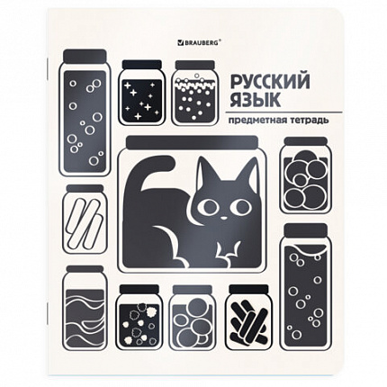 Тетради предметные, КОМПЛЕКТ 12 ПРЕДМЕТОВ 48л, пластиковая обложка, BRAUBERG "КОТ-НЕПОСЕДА", 405542