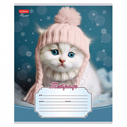 Тетрадь 12л. HATBER линия, обложка картон, Уютные котики (микс в спайке), 12Т5В2