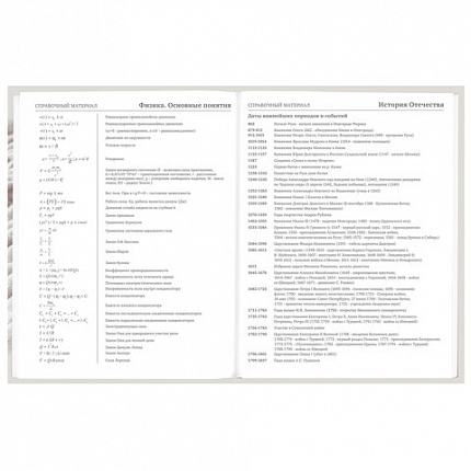 Дневник 5-11 класс 48 л., твердый, BRAUBERG, глянцевая ламинация, с подсказом, "Котик", 107188