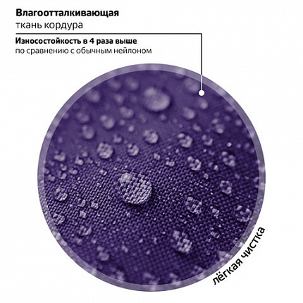 Ранец BRAUBERG PREMIUM, 2 отделения, с брелоком, "Кошачьи лапки", велюровая панель, 38х29х16 см, 273098