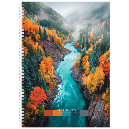 Тетрадь А4 96 л. STAFF College гребень, клетка, офсет №2 ЭКОНОМ, обложка картон, ПРИРОДА, 405619