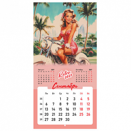 Календарь настенный перекидной 2027г, BRAUBERG, 12 листов, 28,5х28,5 см, "Pin up", 118421