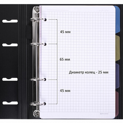 Тетрадь на кольцах А5 175х220мм, 120л, пластик, на липучке, с разделителями, BRAUBERG, Мятный, 404637