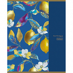 Тетрадь А5, 96 л., HATBER, скоба, клетка, глянцевая ламинация, "Золотые фрукты" (микс в спайке), 095256, 96Т5лВ1
