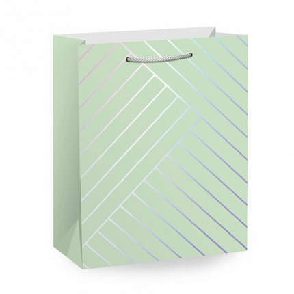 Пакет подарочный (1 штука) 18х10х23см (M) "Leather Bag", ассорти, с тиснением, ЗОЛОТАЯ СКАЗКА, 700811