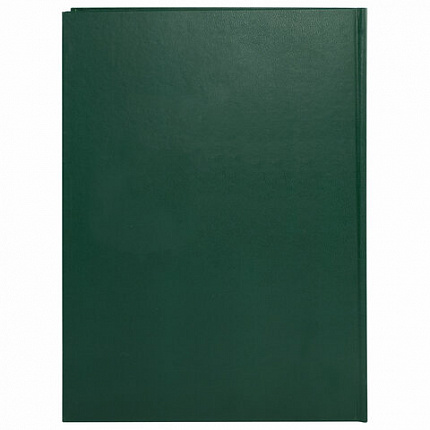 Книга учета 96 л., клетка, твердая, бумвинил, офсет, герб, А4 (200х290 мм), BRAUBERG, зеленая, 130277