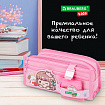 Пенал мягкий BRAUBERG KIDS, 3 отделения, кармашек на карабине, полиэстер, "Sweet friends", 22х10х7 см, 273558