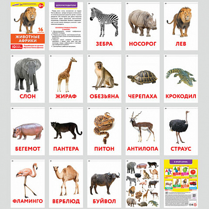 Карточки Домана, 8 развивающих брошюр по методике ГЛЕННА ДОМАНА, 145 изображений, ЮНЛАНДИЯ, 691022
