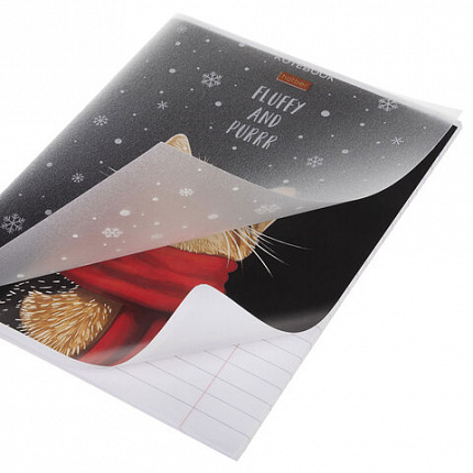 Тетрадь обложка пластик, А5 48л. скоба, линия, HATBER, Котэ (микс в спайке), 091627, 48Т5В2пл