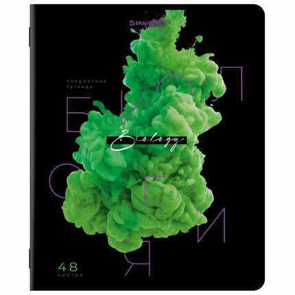 Тетради предметные, КОМПЛЕКТ 12 ПРЕДМЕТОВ, 48 л., глянцевый УФ-лак, BRAUBERG, "PIGMENT", 404834