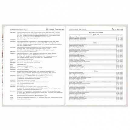 Дневник 5-11 класс 48 л., твердый, BRAUBERG, глянцевая ламинация, с подсказом, "Котик", 107188