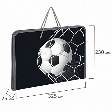Папка для труда на молнии с ручками ПИФАГОР А4, 1 отделение, пластик, органайзер, "Ball kick", 272229