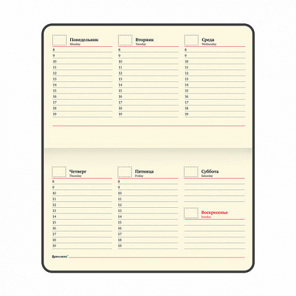 Еженедельник недатированный МАЛЫЙ ФОРМАТ 95х155 мм А6, BRAUBERG "Iguana", под кожу, 64 л., черный, 114480