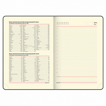 Ежедневник недатированный БОЛЬШОЙ ФОРМАТ 210х297мм А4, BRAUBERG Iguana, 160л, синий, 114451