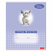 Тетрадь 18 л., HATBER клетка, обложка картон, "Маленький альпака" (микс в спайке), 091390, 18Т5В1