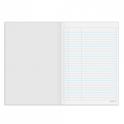 Книга учета 48 л., пустографка, обложка из мелованного картона, блок офсет, (А4 200х290 мм), STAFF, 130212