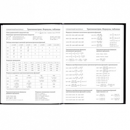 Дневник 5-11 класс 48 л., гибкая обложка, BRAUBERG, глянцевая ламинация, с подсказом, "Гепард", 106862