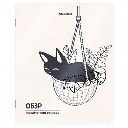 Тетрадь предметная КОТ-НЕПОСЕДА 48 л., пластиковая обложка, ОБЗР, клетка, подсказ, BRAUBERG, 405539