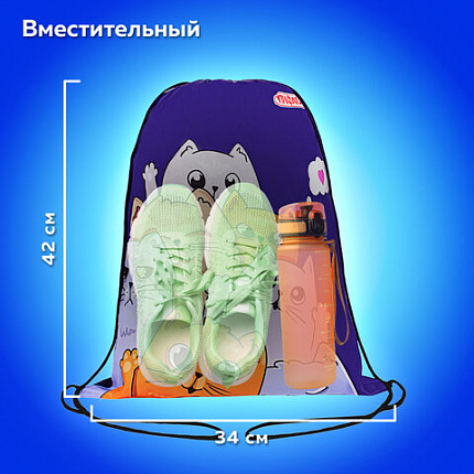 Мешок для обуви ПИФАГОР, 1 отделение, 42х34 см, "Кошачий привет", 272382