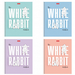 Тетрадь А5, 48 л., HATBER гребень, клетка, обложка картон, "Следуй за белым кроликом" (микс), 087016, 48Т5В1гр