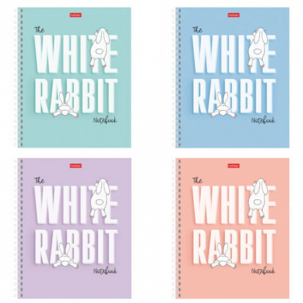 Тетрадь А5, 48 л., HATBER гребень, клетка, обложка картон, "Следуй за белым кроликом" (микс), 087016, 48Т5В1гр