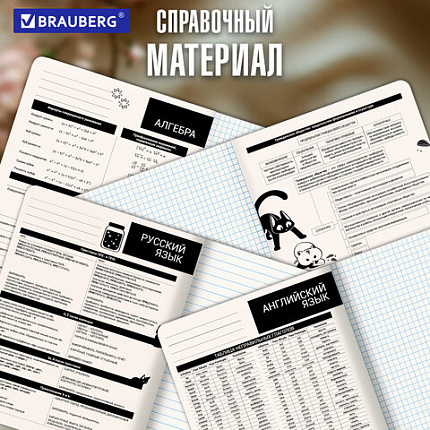 Тетради предметные, КОМПЛЕКТ 12 ПРЕДМЕТОВ 48л, пластиковая обложка, BRAUBERG "КОТ-НЕПОСЕДА", 405542