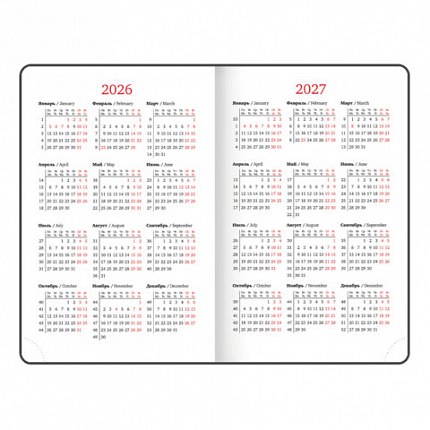 Ежедневник датированный 2026, МАЛЫЙ ФОРМАТ 100х150 мм, А6, BRAUBERG "Rainbow", под кожу, желтый, 117258