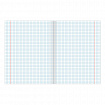 Тетрадь А5 96 л. BRAUBERG скоба, клетка, обложка картон, "Multicolor" (микс в спайке), 404436