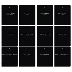 Тетради предметные, КОМПЛЕКТ 12 ПРЕДМЕТОВ, 48л, SoftTouch, 3D-фольга, BRAUBERG, BLACK GOLD, 405602