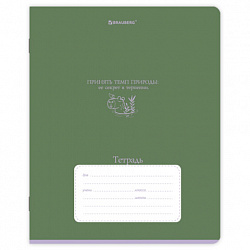 Тетрадь 18л. BRAUBERG линия, обложка картон, PHRASES, 107785