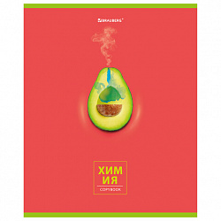 Тетрадь предметная "AVOCADO" 48 л., глянцевый лак, ХИМИЯ, клетка, BRAUBERG, 404284