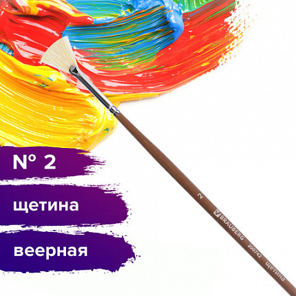 Кисть художественная профессиональная BRAUBERG ART CLASSIC, щетина, веерная, № 2, длинная ручка, 200742